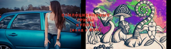 мяу мяу кристалл Лабытнанги