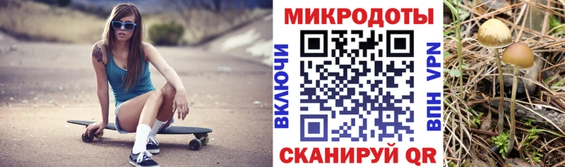 Псилоцибиновые грибы мицелий  МЕГА tor  Чудово 